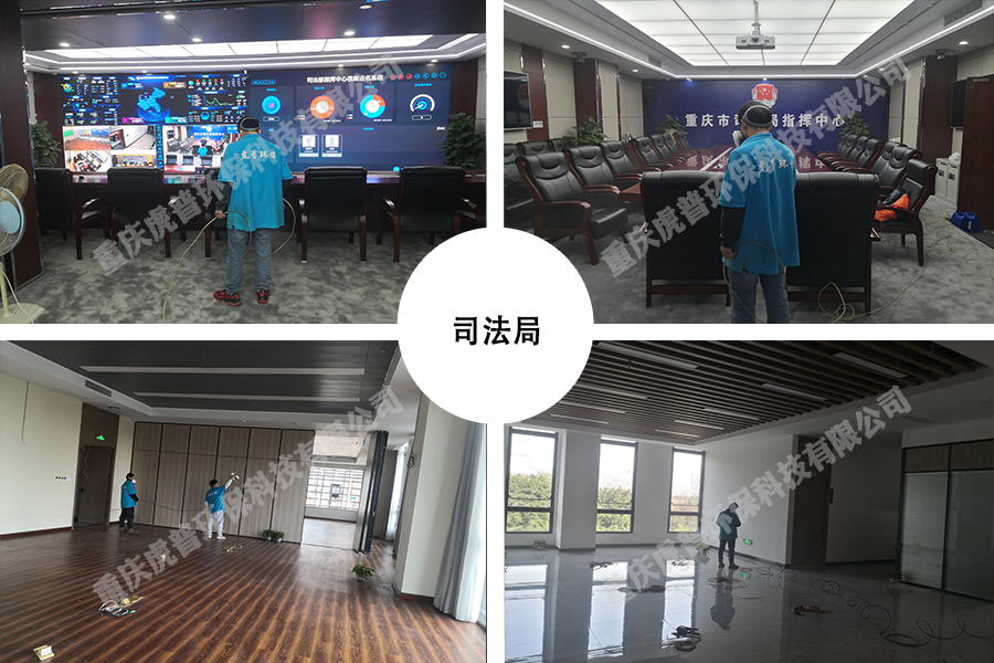 除甲醛公司 除甲醛公司